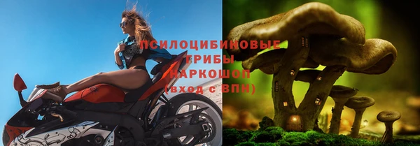круглые Алексеевка